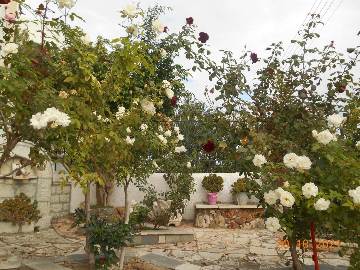Melios Rooms Petalídhion 외부 사진